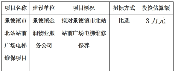 景德鎮市北站站前廣場電梯維保項目計劃公告　