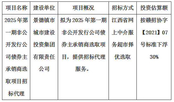 2025年第一期非公開發行公司債券主承銷商選取項目招標代理計劃公告